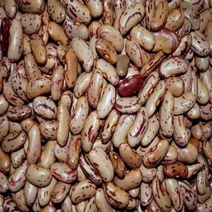 RAJMA